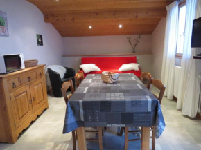 Studio cosy avec balcon au Grand-Bornand, Animaux admis, Parking privé - FR-1-467-75